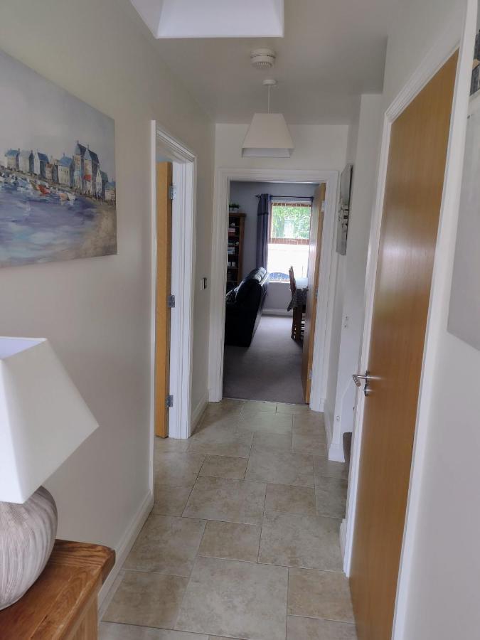 Mournes Snug Villa Newcastle  Exteriör bild